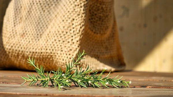 Les secrets des goodies promotionnels écoresponsables